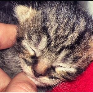 Meet your Posher, Nadia